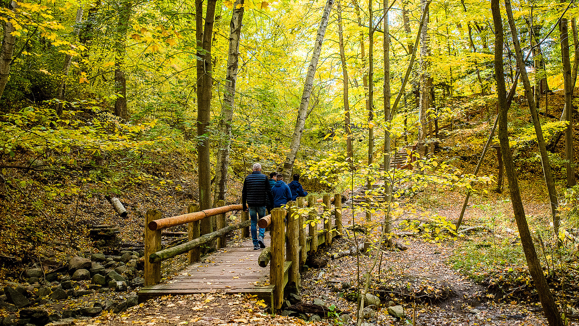 Nature trails with lush greener and trees at The Couture Apartments in Milwaukee, WI
